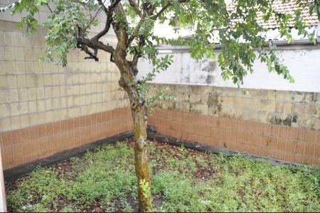 Casa para alugar com 400m², 3 quartos e 5 vagasÁrea comum