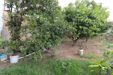 Casa à venda com 560m², 3 quartos e 2 vagas Casa à venda com 560m², 3 quartos e 2 vagasPomar