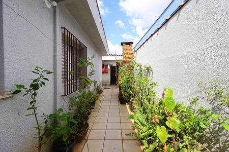 Casa à venda com 250m², 3 quartos e 4 vagasQuintal