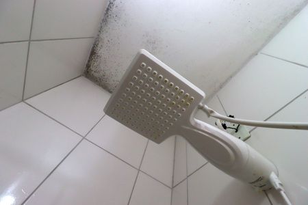 Casa à venda com 250m², 3 quartos e 4 vagasBanheiro 