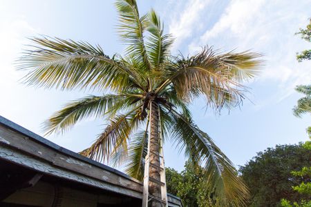 Casa à venda com 200m², 2 quartos e 2 vagas Casa à venda com 200m², 2 quartos e 2 vagasÁrea Externa