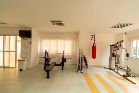 Apartamento à venda com 73m², 2 quartos e 1 vaga Apartamento à venda com 73m², 2 quartos e 1 vagaÁrea comum - Academia