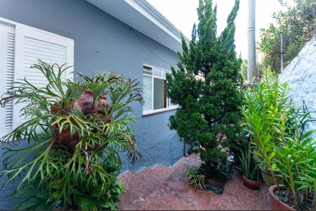 Casa à venda com 300m², 5 quartos e 2 vagas Casa à venda com 300m², 5 quartos e 2 vagasQuintal