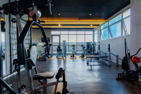 Apartamento para alugar com 80m², 2 quartos e 1 vaga Apartamento para alugar com 80m², 2 quartos e 1 vagaÁrea comum - Academia