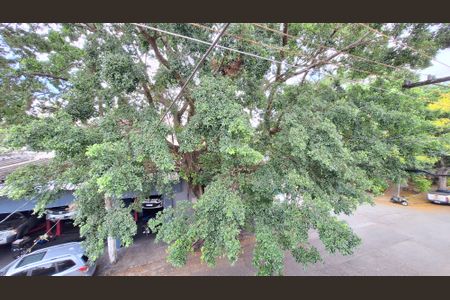 Casa à venda com 348m², 7 quartos e 4 vagasVista da Varanda