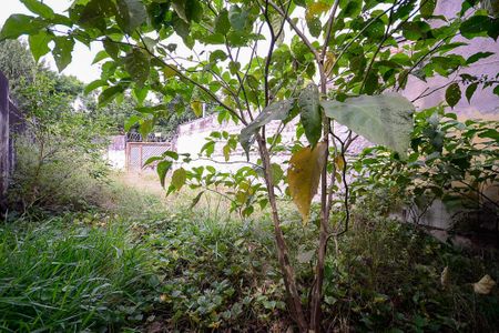 Casa à venda com 246m², 3 quartos e 10 vagas Casa à venda com 246m², 3 quartos e 10 vagasQuintal