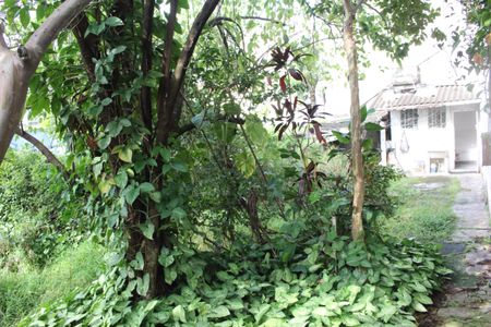 Casa para alugar com 130m², 1 quarto e 6 vagasQuintal