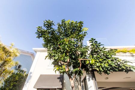 Casa à venda com 318m², 4 quartos e 4 vagas Casa à venda com 318m², 4 quartos e 4 vagasDetalhe