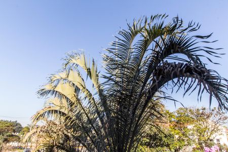 Casa à venda com 318m², 4 quartos e 4 vagas Casa à venda com 318m², 4 quartos e 4 vagasVista da Suíte 1