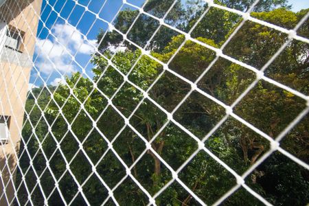 Apartamento à venda com 231m², 4 quartos e 3 vagasSuíte 1 - Vista