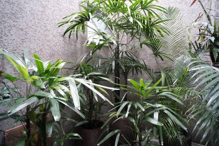 Casa à venda com 168m², 3 quartos e 2 vagasJardim de inverno