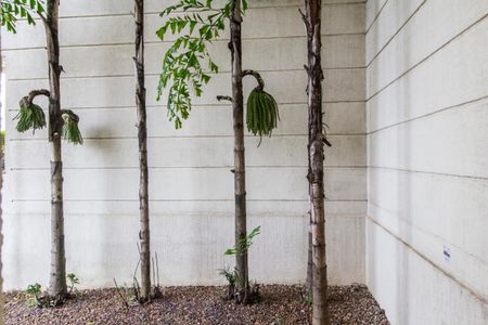 Apartamento à venda com 149m², 3 quartos e 2 vagasVista da Suíte 3