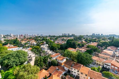 Apartamento para alugar com 29m², 1 quarto e sem vagaVista do terraço