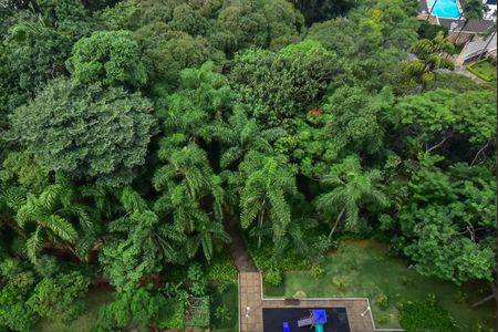 Apartamento à venda com 165m², 4 quartos e 2 vagas Apartamento à venda com 165m², 4 quartos e 2 vagasVista para o Bosque