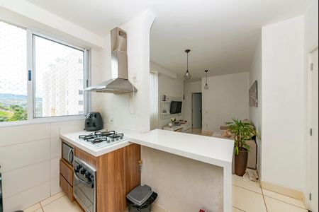 Apartamento à venda com 47m², 2 quartos e 1 vagaCozinha