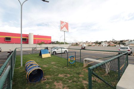 Apartamento para alugar com 50m², 2 quartos e 1 vagaPet Place