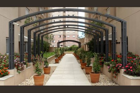 Apartamento à venda com 48m², 2 quartos e 1 vaga Apartamento à venda com 48m², 2 quartos e 1 vagaÁrea comum - Churrasqueira