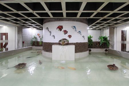 Apartamento à venda com 85m², 2 quartos e 1 vaga Apartamento à venda com 85m², 2 quartos e 1 vagaRecepção