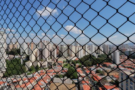 Apartamento à venda com 490m², 4 quartos e 5 vagas Apartamento à venda com 490m², 4 quartos e 5 vagasVista da varanda da sala 1
