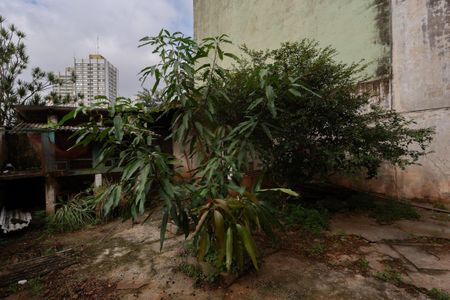 Casa à venda com 275m², 2 quartos e 2 vagas Casa à venda com 275m², 2 quartos e 2 vagasQuintal/Jardim