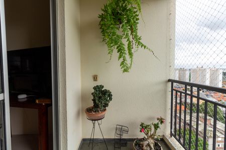 Apartamento à venda com 64m², 3 quartos e 1 vaga Apartamento à venda com 64m², 3 quartos e 1 vagaSacada