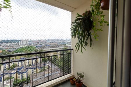 Apartamento à venda com 64m², 3 quartos e 1 vaga Apartamento à venda com 64m², 3 quartos e 1 vagaSacada