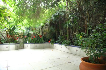 Casa à venda com 650m², 4 quartos e 6 vagasÁrea comum