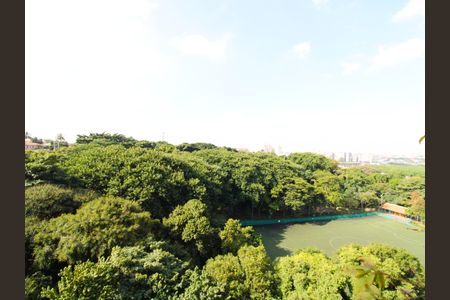 Apartamento à venda com 110m², 3 quartos e 2 vagasVista da Varanda da Sala