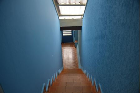 Casa à venda com 253m², 3 quartos e sem vagaGaragem