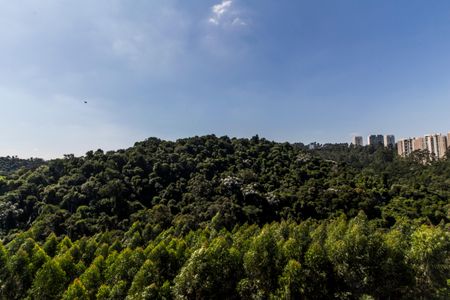 Apartamento à venda com 50m², 1 quarto e 2 vagas Apartamento à venda com 50m², 1 quarto e 2 vagasVista da Varanda