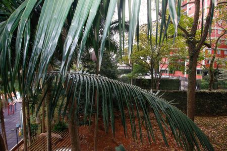 Apartamento à venda com 100m², 3 quartos e 1 vagaVista da Suíte