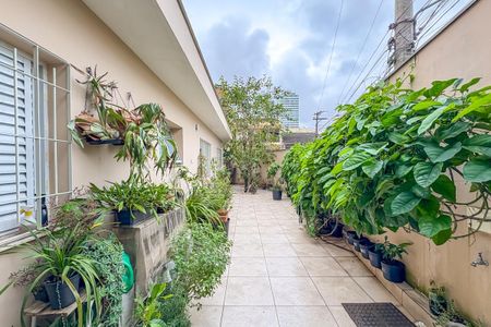 Casa à venda com 237m², 3 quartos e 2 vagasQuintal