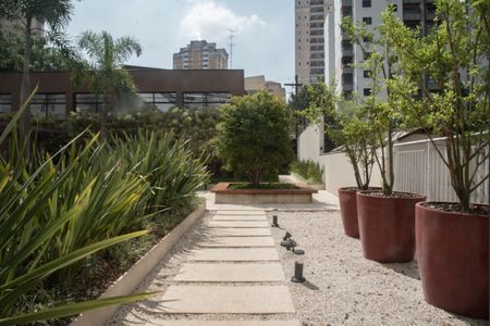 Apartamento para alugar com 65m², 2 quartos e 2 vagas Apartamento para alugar com 65m², 2 quartos e 2 vagasÁrea comum - Pátio central