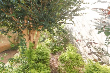 Casa à venda com 234m², 3 quartos e 1 vaga Casa à venda com 234m², 3 quartos e 1 vagaQuintal