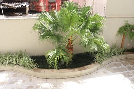 Apartamento à venda com 210m², 3 quartos e 2 vagasVista