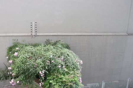 Apartamento à venda com 210m², 3 quartos e 2 vagasVista