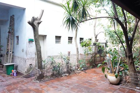 Casa à venda com 516m², 6 quartos e 9 vagasQuintal