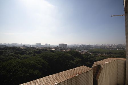 Apartamento à venda com 220m², 3 quartos e 4 vagasVista