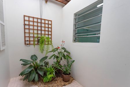 Casa à venda com 300m², 3 quartos e sem vaga Casa à venda com 300m², 3 quartos e sem vagaJardim de inverno