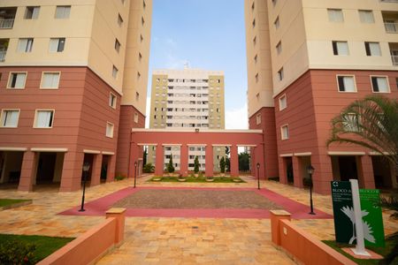 Apartamento à venda com 60m², 3 quartos e 1 vagaÁrea comum