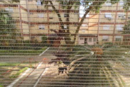 Apartamento à venda com 41m², 1 quarto e 1 vagaVista da Sala