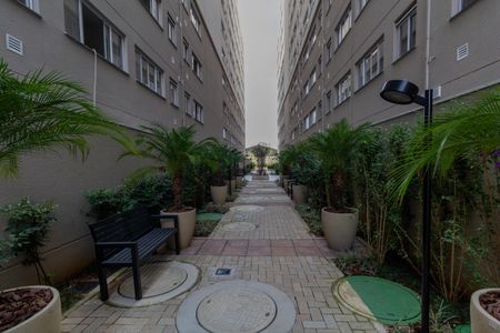 Apartamento para alugar com 38m², 2 quartos e sem vaga Apartamento para alugar com 38m², 2 quartos e sem vagaÁrea Comum