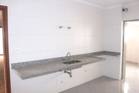 Apartamento à venda com 168m², 3 quartos e 5 vagasCozinha