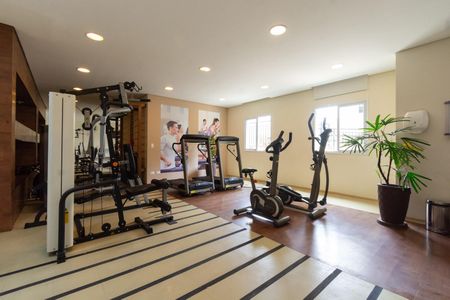 Apartamento à venda com 75m², 3 quartos e 1 vagaÁrea comum - Academia