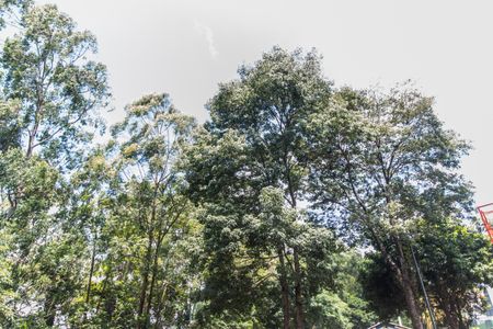 Casa de condomínio à venda com 300m², 4 quartos e 2 vagas Casa de condomínio à venda com 300m², 4 quartos e 2 vagasÁrea comum