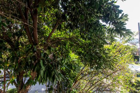 Casa de condomínio à venda com 300m², 4 quartos e 2 vagas Casa de condomínio à venda com 300m², 4 quartos e 2 vagasVista do Quarto 2