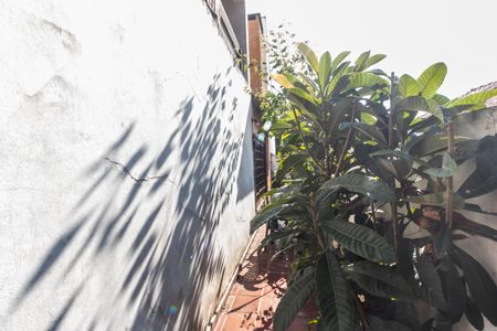 Casa de condomínio à venda com 300m², 4 quartos e 2 vagas Casa de condomínio à venda com 300m², 4 quartos e 2 vagasQuintal