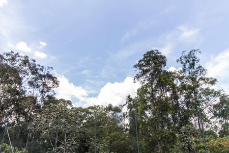 Casa de condomínio à venda com 300m², 4 quartos e 2 vagas Casa de condomínio à venda com 300m², 4 quartos e 2 vagasVista