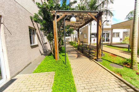 Apartamento para alugar com 40m², 2 quartos e 1 vaga Apartamento para alugar com 40m², 2 quartos e 1 vagaÁrea comum