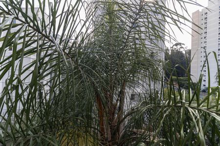 Apartamento à venda com 62m², 2 quartos e 1 vagaVista do Quarto 2